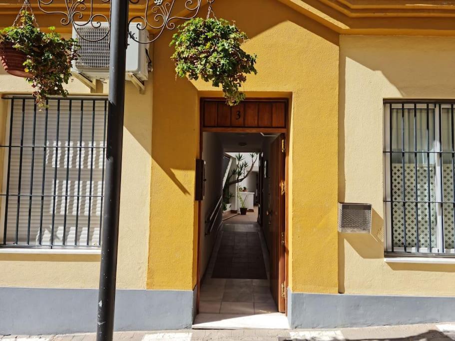 Apartamento Centro Rota. 2 Minutos De La Playa.. Экстерьер фото